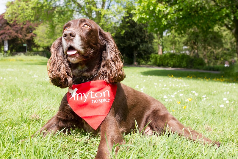 The Myton Hospices Online Shop Walk for Myton