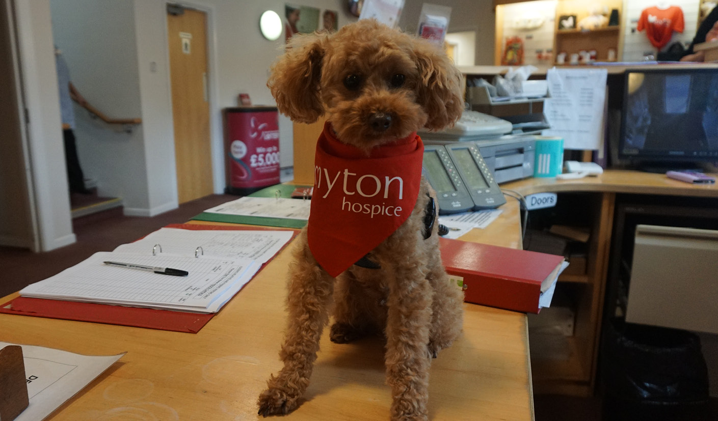 Robbie - The Myton Hospices - Warwick Myton Hospice