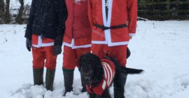 The Myton Hospices - Santa Dash 2017 (3)