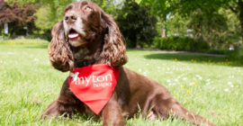 The Myton Hospices - Gallery - Walk for Myton