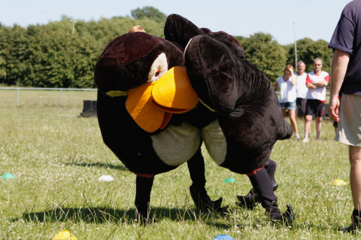 The Myton Hospices - It's a Knock Out - Photo Gallery