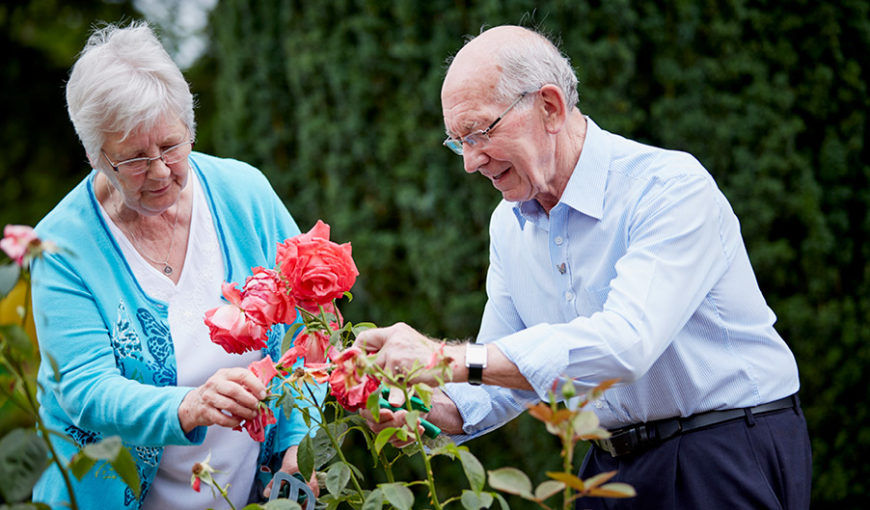 Volunteering Week - Gardening - The Myton Hospices - Volunteering - Volunteers