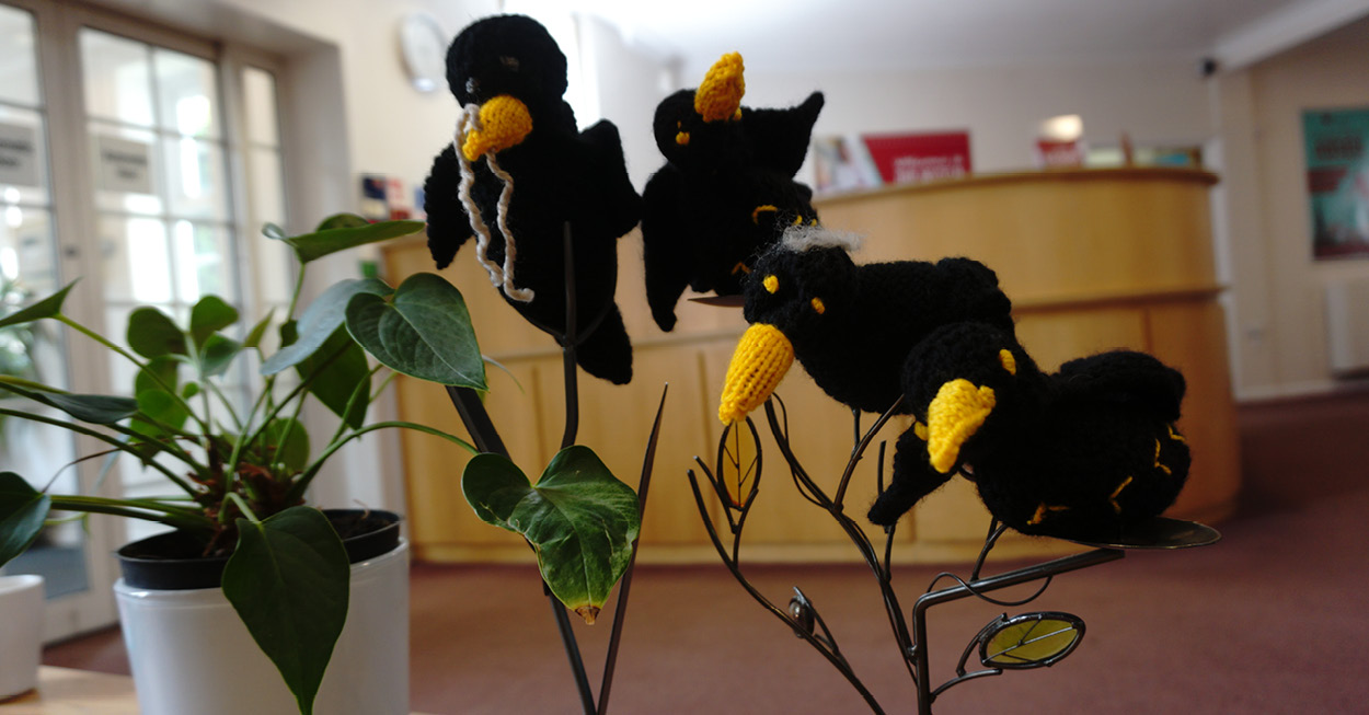 Art in the Park - Alison McKellar - The Myton Hospices - Birds - Jephsons Garden Art in the Park - Alison McKellar - The Myton Hospices - Birds - Jephsons Garden