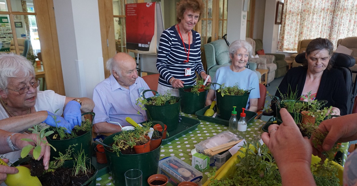 Horticultural Therapy programme - The Myton Hospices Horticultural Therapy programme - The Myton Hospices