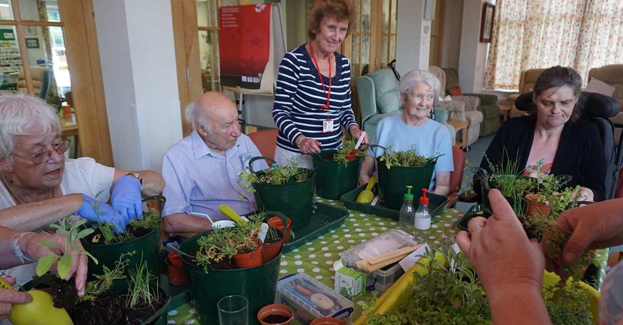 Horticultural Therapy programme - The Myton Hospices