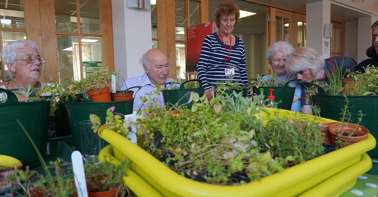 Horticultural Therapy programme - The Myton Hospices