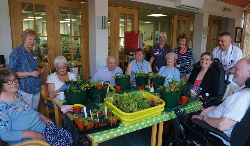 Ryton Garden Organic - The Myton Hospices - Horticultural Therapy programme