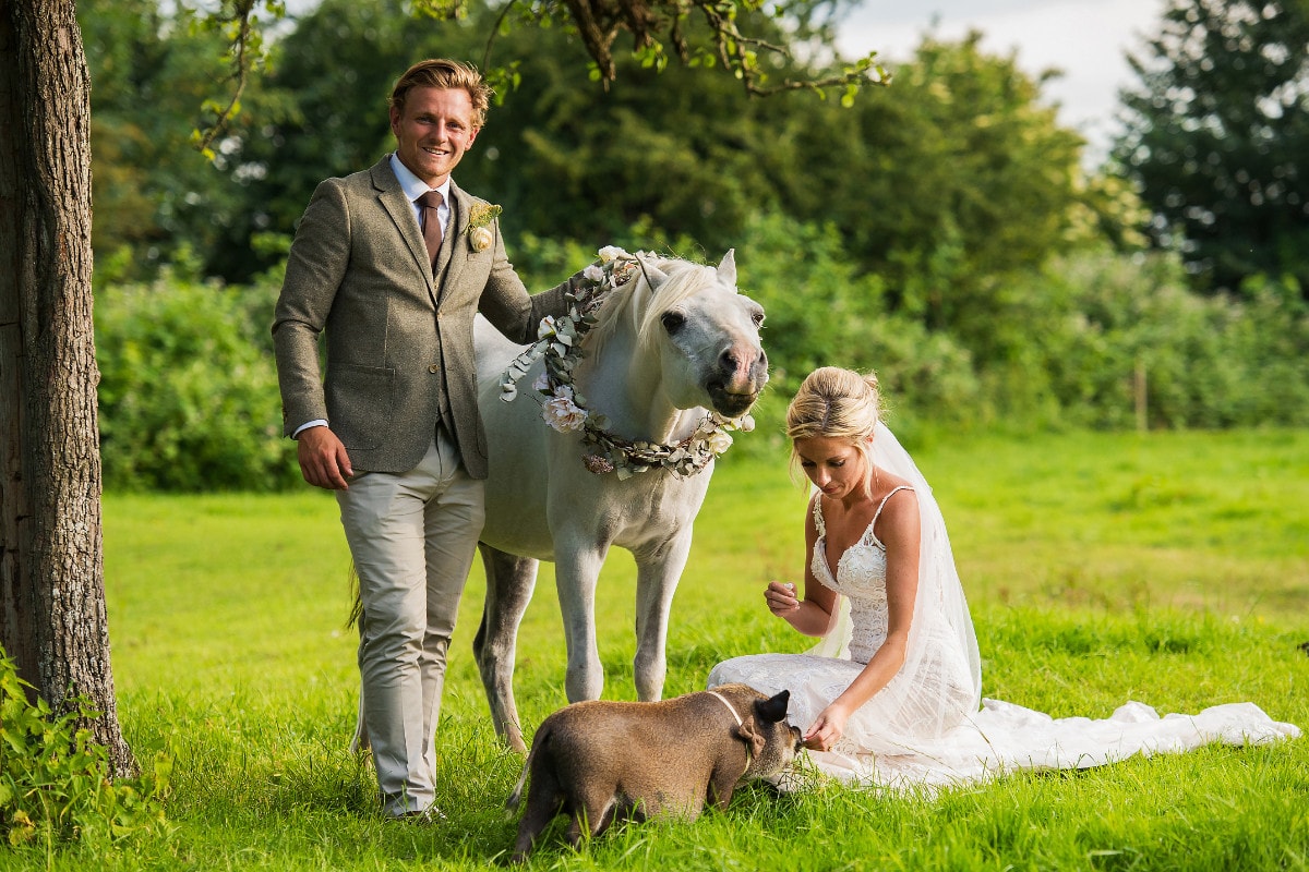 Abbie and Callum wedding photo