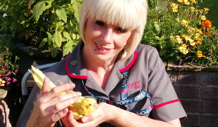 Jackie Bedford - Parakeet - Caroline Barker - Warwick Day Hospice - The Myton Hospices Jackie Bedford - Parakeet - Caroline Barker - Warwick Day Hospice - The Myton Hospices