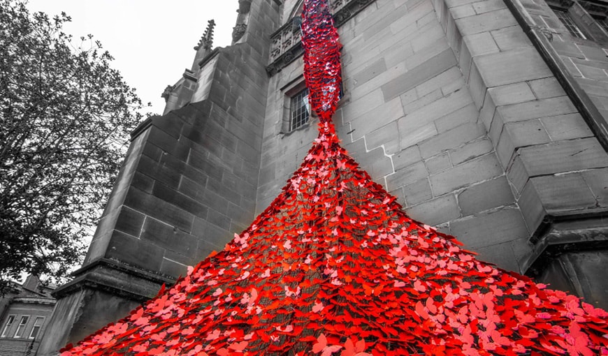 The Butterfly Effect - The Myton Hospices - Coventry Cathedral - Warwickshire - Butterfly - Rugby