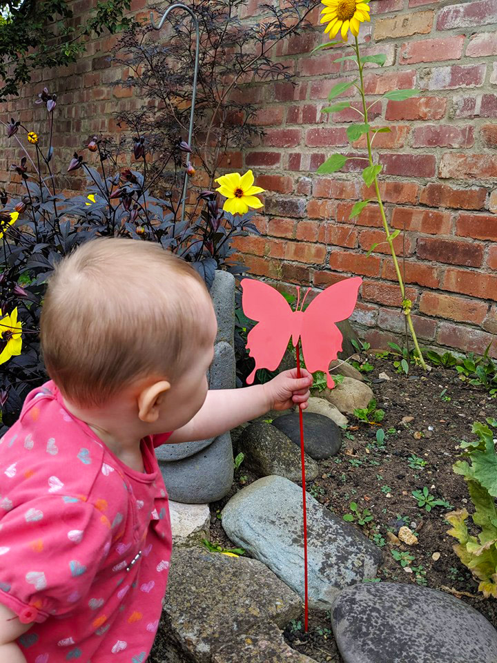 The Butterfly Effect - The Myton Hospices - Warwickshire - Leamington Spa - Rugby - Coventry - In Memory