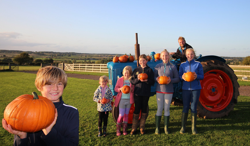 Hilltop Farm - The Myton Hospices - Pumpkins - Coventry - Leamington Spa - Rugby