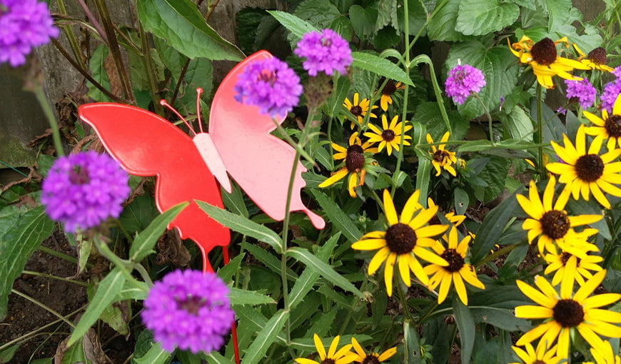 The Butterfly Effect - The Myton Hospices - Warwickshire - Leamington Spa - Rugby - Coventry - In Memory