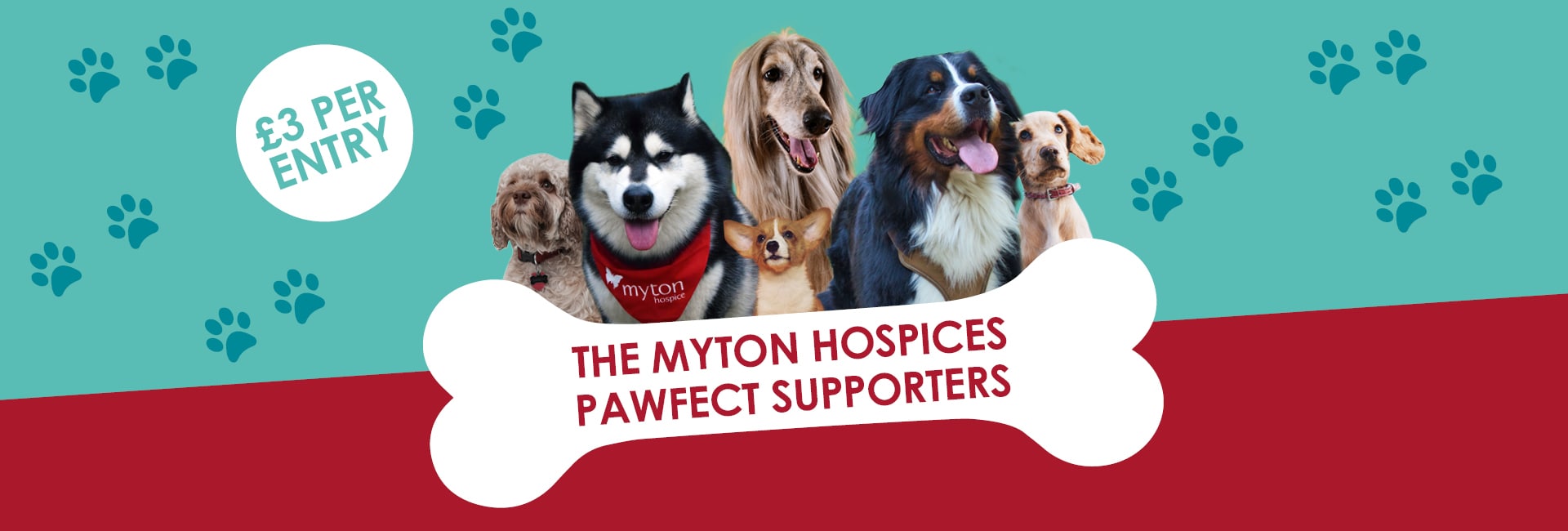 The Myton Hospices - Pawfect Supporters Dog Competition Flex Slider