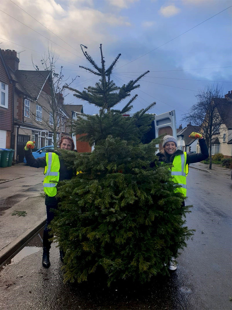 Christmas Tree Collection - The Myton Hospices - Warwickshire - Coventry - Leamington Spa - Rugby - Hospice - Pass The Smile