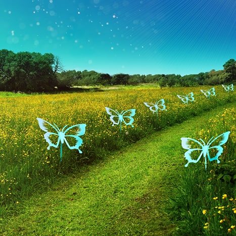 The Myton Hospices - The Butterfly Effect 2022