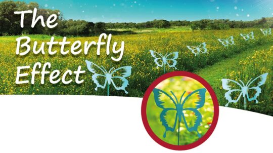 The Myton Hospices - Butterfly Effect 2022 - Menu Square