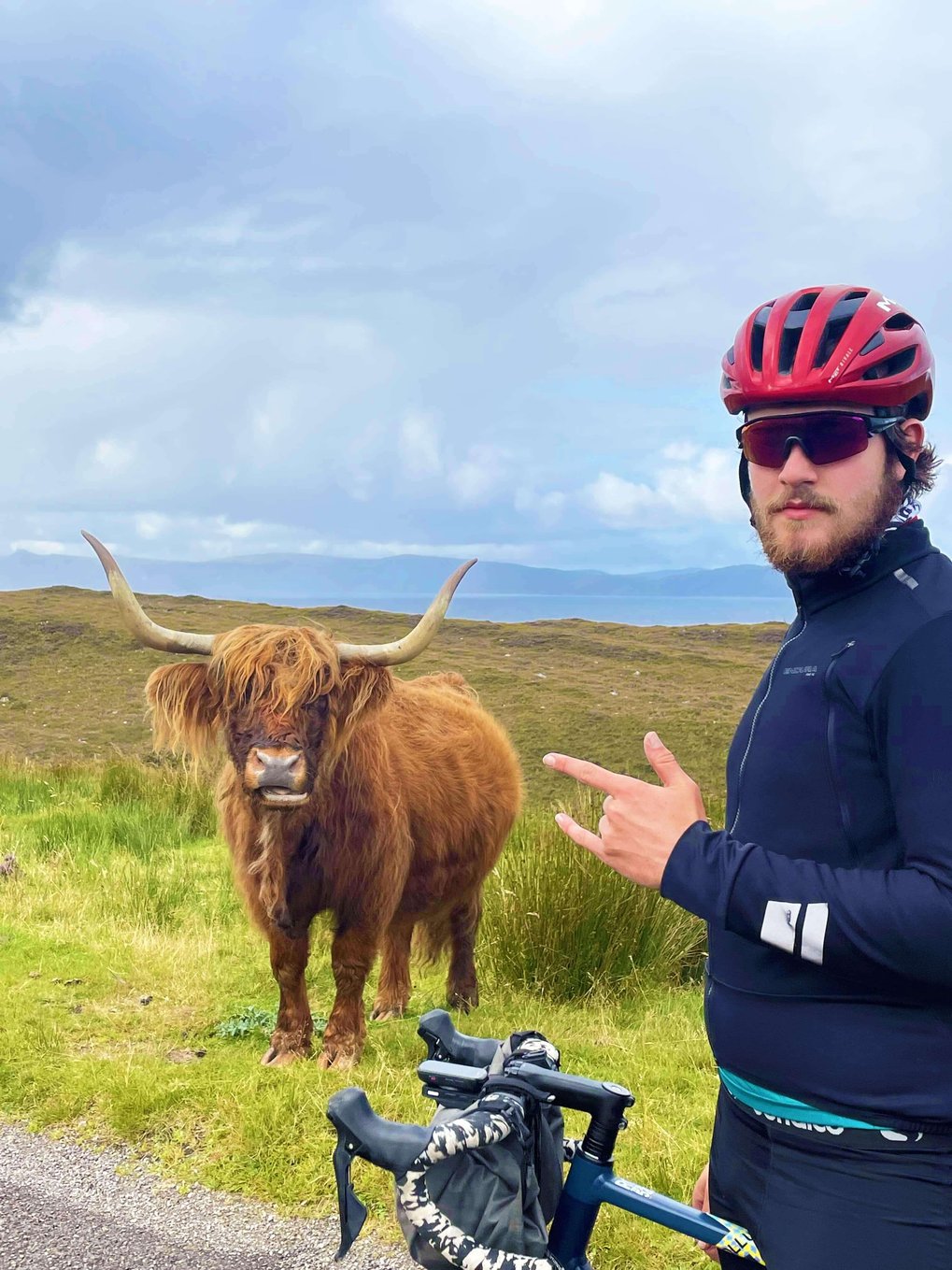 cyclists with highland cow