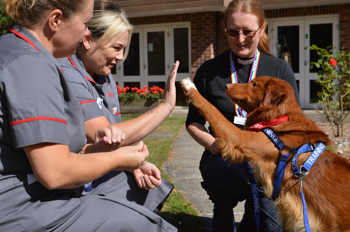 nurses with trainee therapy dog Bracken