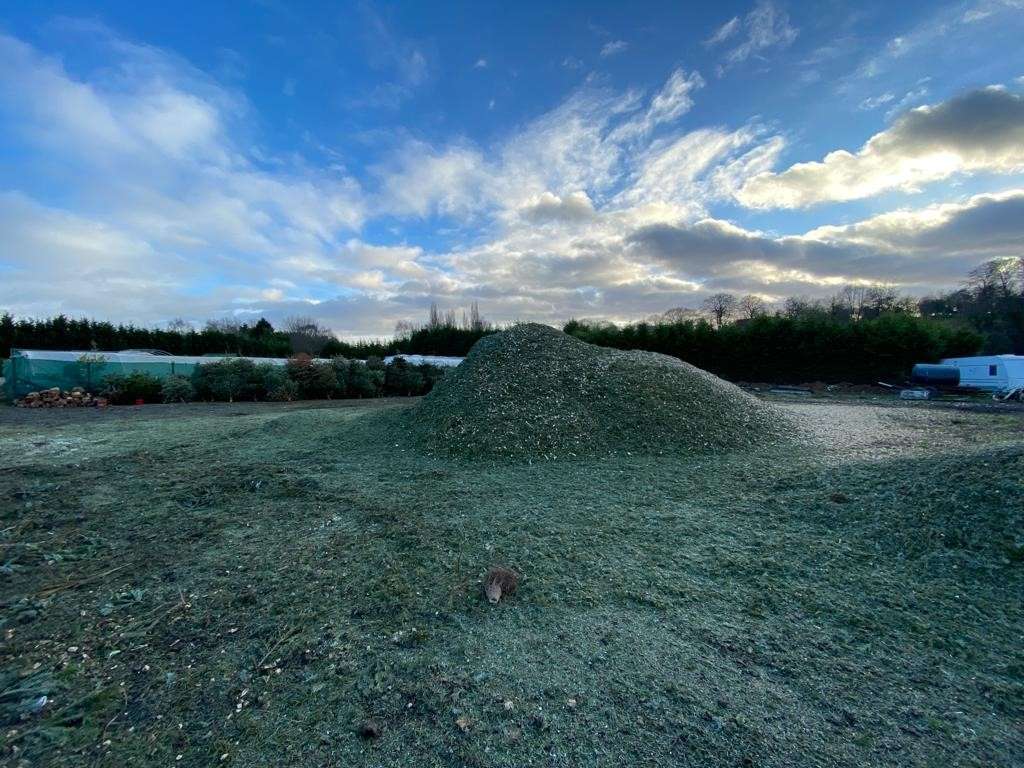 The Myton Hospices - Christmas Tree recycling