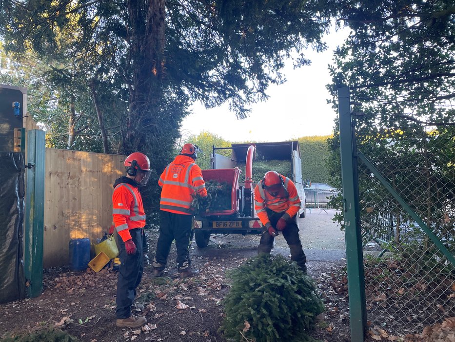 The Myton Hospices - Christmas trees chipper