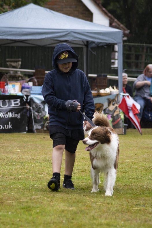 The Myton Hospices - Summer Fun Day Dog Show The Myton Hospices - Summer Fun Day Dog Show
