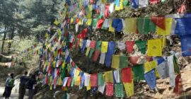 Dalai Lama Himalayan Trek 2025