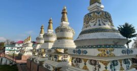 Dalai Lama Himalayan Trek 2025
