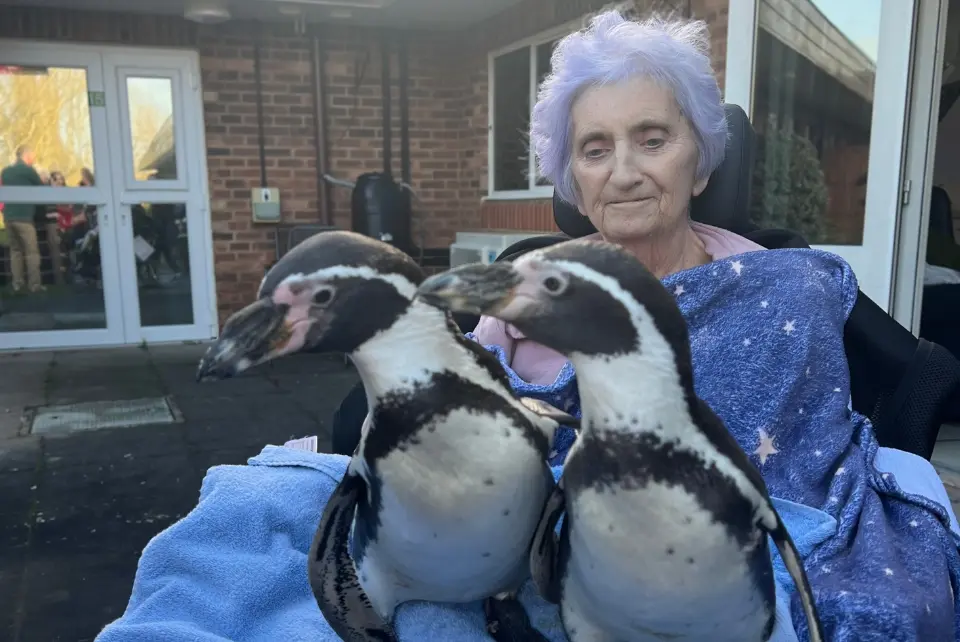 The Myton Hospices - Rosalie and the Penguins