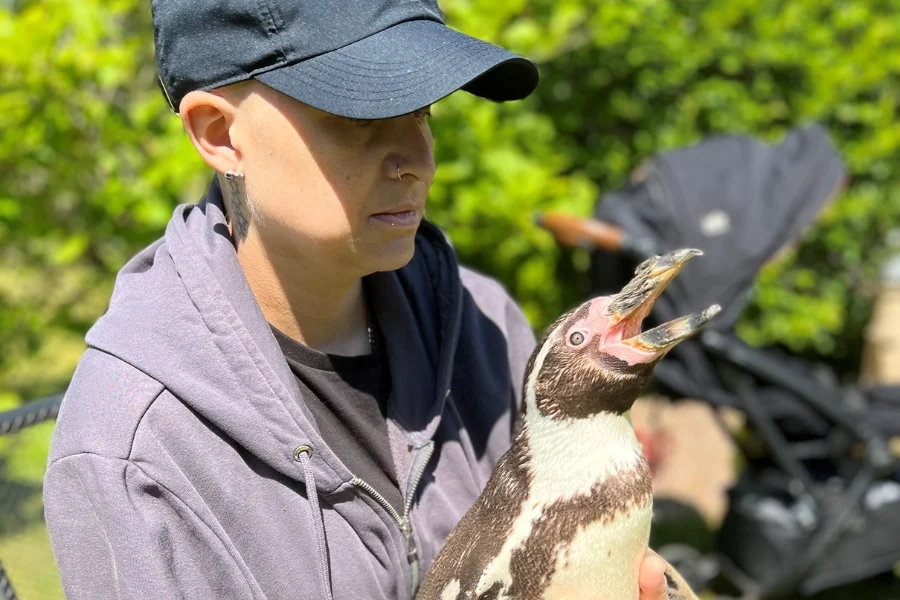 The Myton Hospices - Jenny's Penguin visit at Warwick Myton Hospice